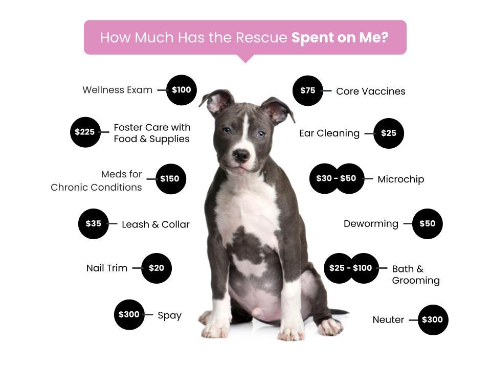 Fee Graphic