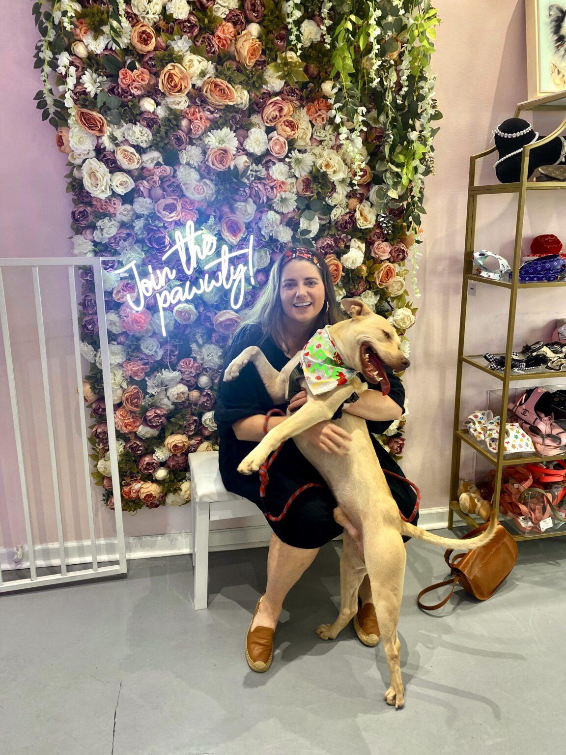 Meet the Team Bubbles Dog Rescue