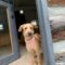 Lucy