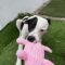 Patrick